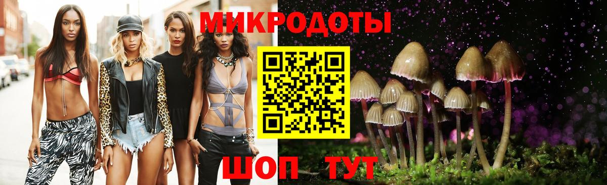 Галлюциногенные грибы Psilocybe Малгобек