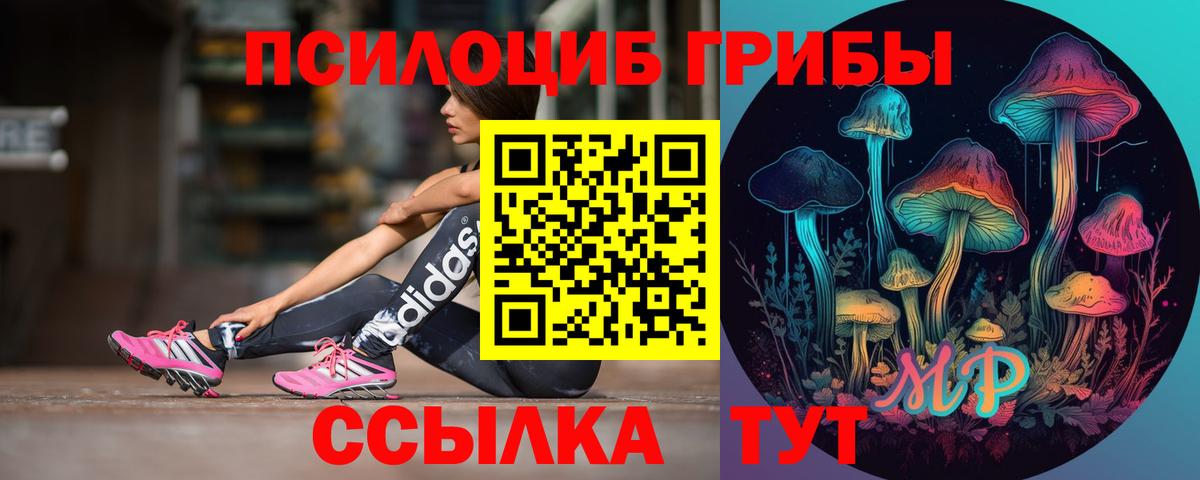 купить закладку  Вход с VPN  Малгобек  Псилоцибиновые грибы Psilocybe  Галлюциногенные грибы Psilocybine cubensis 